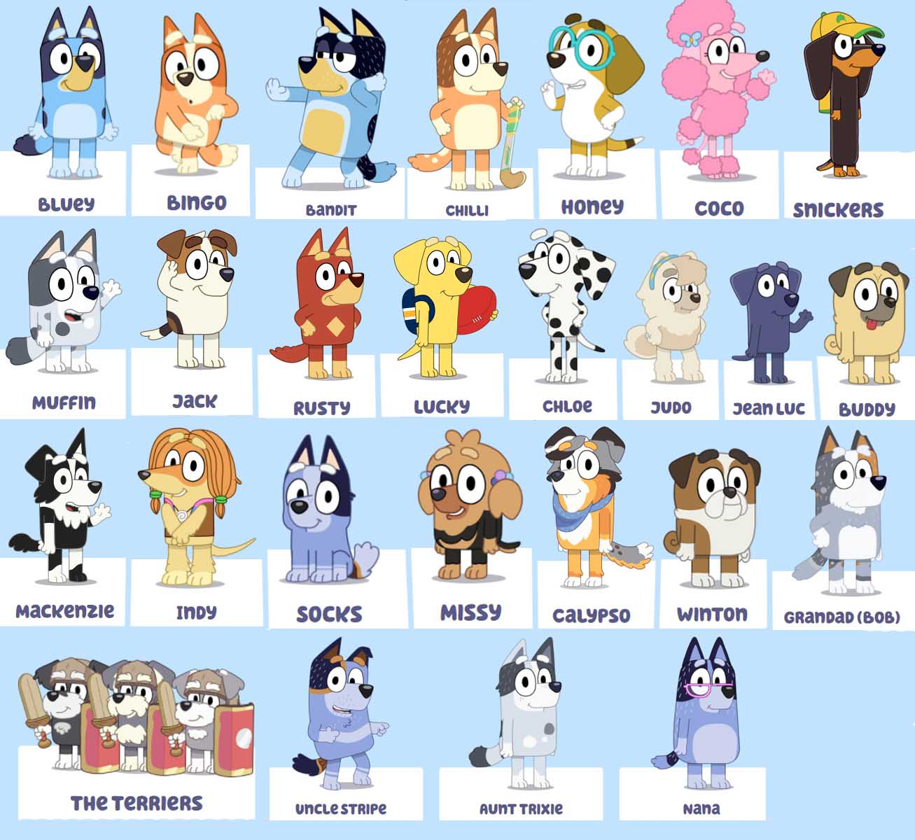 bluey characters names – Having fun with children