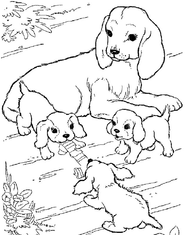 dogs coloring pages 1 – Having fun with children