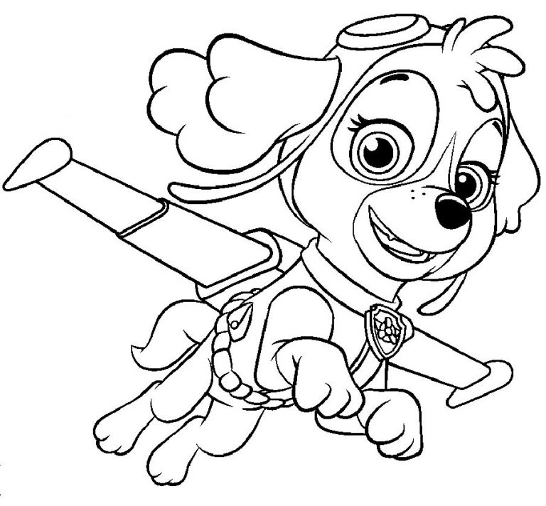 PAW Patrol Skye coloring pages 2 – Having fun with children