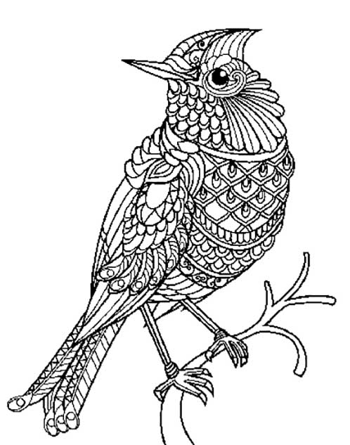 birds coloring pages 31 – Having fun with children