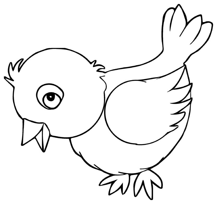 birds coloring pages 38 – Having fun with children