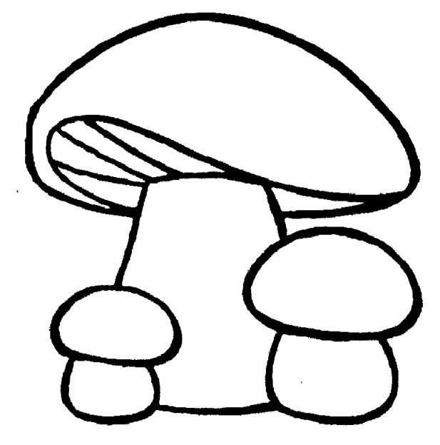 mushrooms 95 – Having fun with children